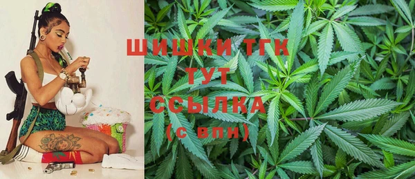 Альфа ПВП Горняк