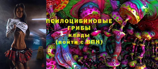 СК Вяземский